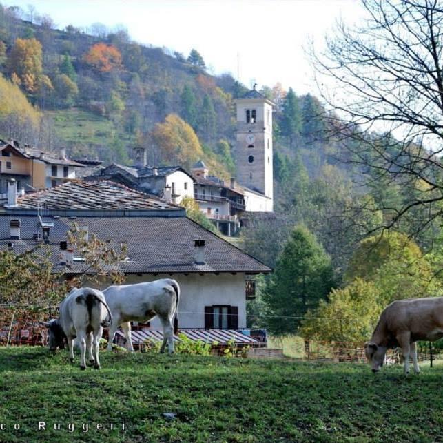 Agriturismo Il Mulino Delle Fucine Villa Casteldelfino Exterior photo